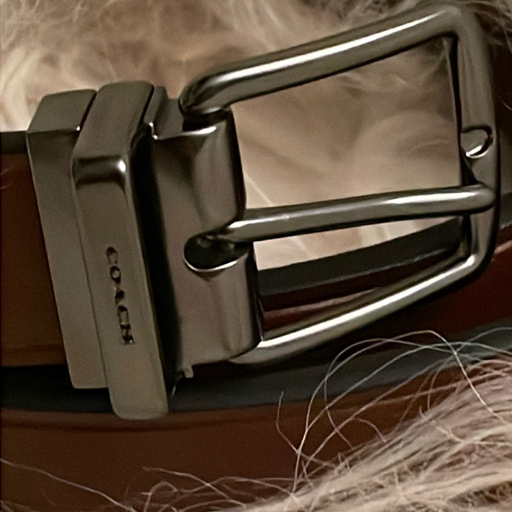 Coach brown leather belt